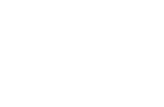 Hollie Elliott Branding